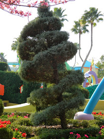 Spiral juniper topiary Seuss Landing Universal Studios Orlando by garden muses-not another Toronto garden blog