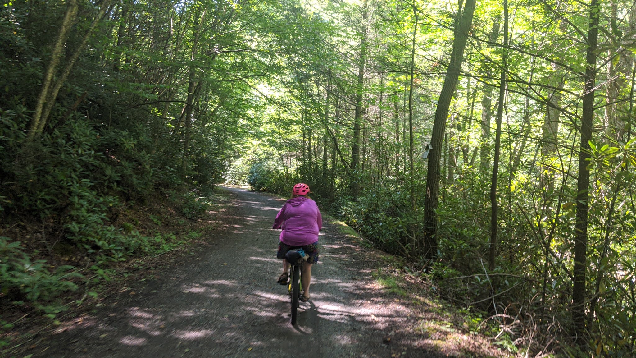 Bikes, Boots, & Boats Biking the Virginia Creeper Trail