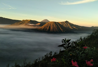 bromo ijen tour package