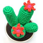 patron gratis cactus amigurumi | free amigurumi pattern cactus