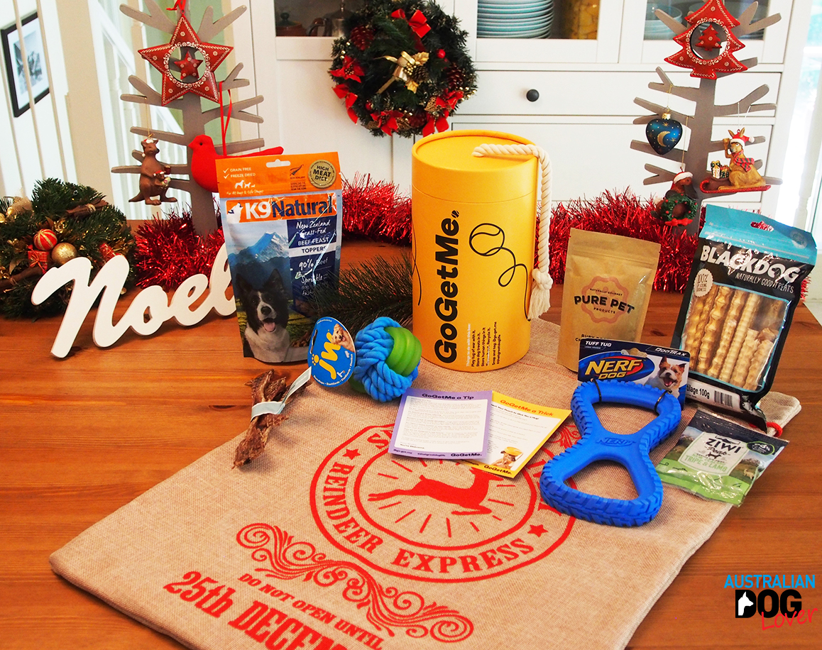 GoGetMe Dog Subscription Box Review Australian Dog Lover