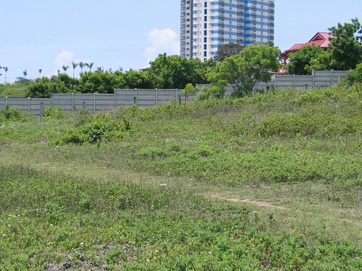 Mactan Real Estate Beach Lot for Sale in Baranggay Punta Engano