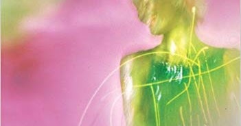 Weetzie bat essay picture