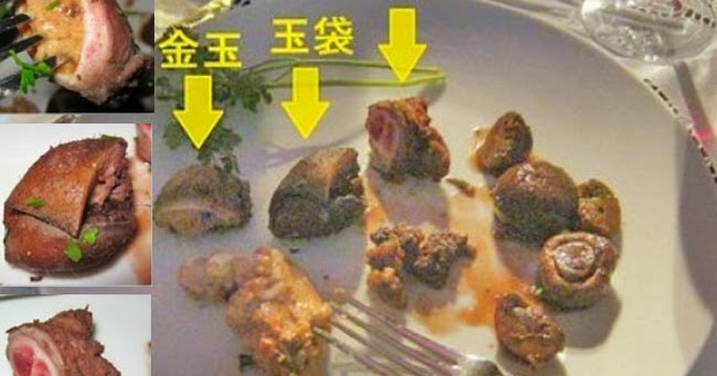 Мао сугияма. Мао сугияма. Рицуо сугияма. Мао сугияма. Нориаки сугияма японский актёр озвучивания.