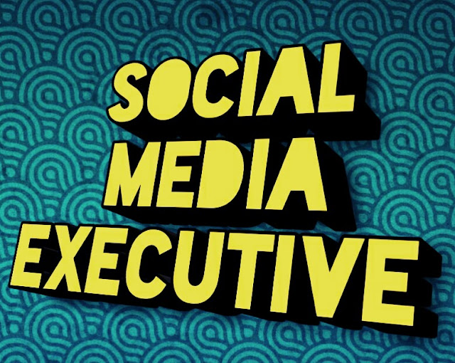What is Social Media Executive, Online earning ideas 2020