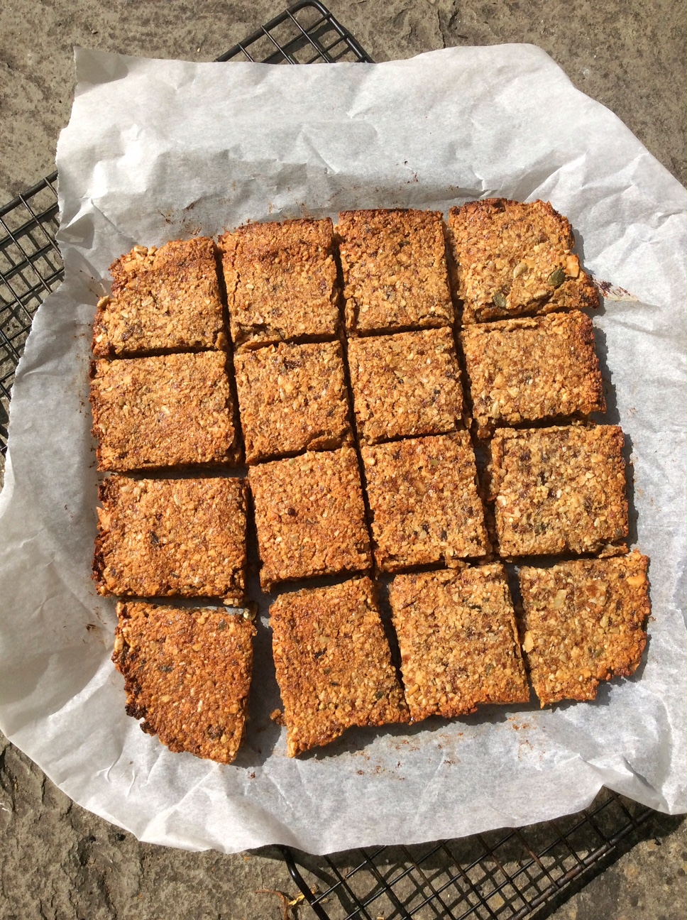 Fruit and Seed Coconut Flapjack Bars