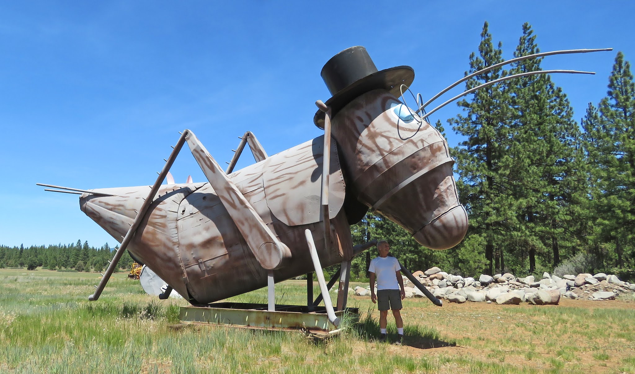 Rolling in an RV Wheelchair Traveling...... Large Junk Sculptures
