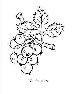 Blueberry coloring page 3