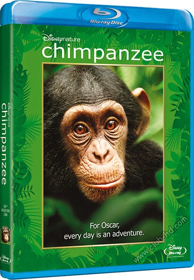 Chimpanzee_POSTER.jpg