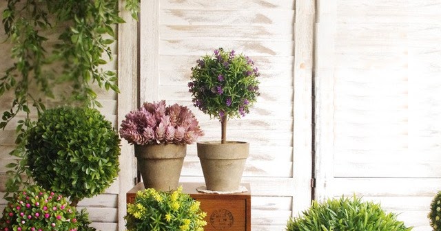 Tren 20+ Daftar Harga Tanaman Hias 2019