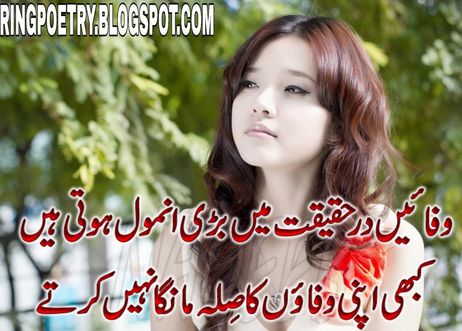 urdu sad poetry images facebook