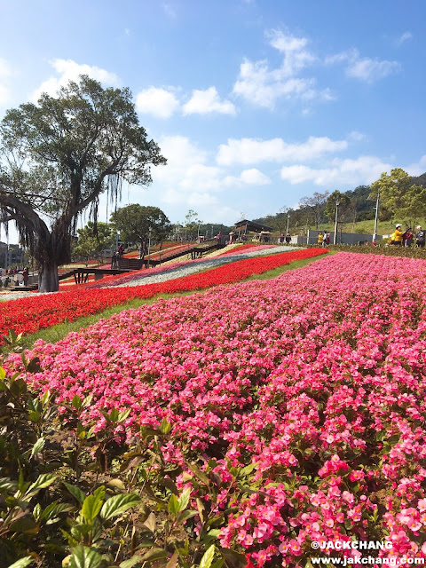 北投社三層崎公園花海