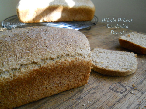 Whole Wheat Loaves - TWD / VINTAGE KITCHEN