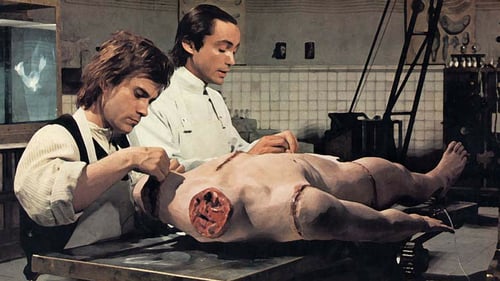 Carne para Frankenstein 1973 online español españa