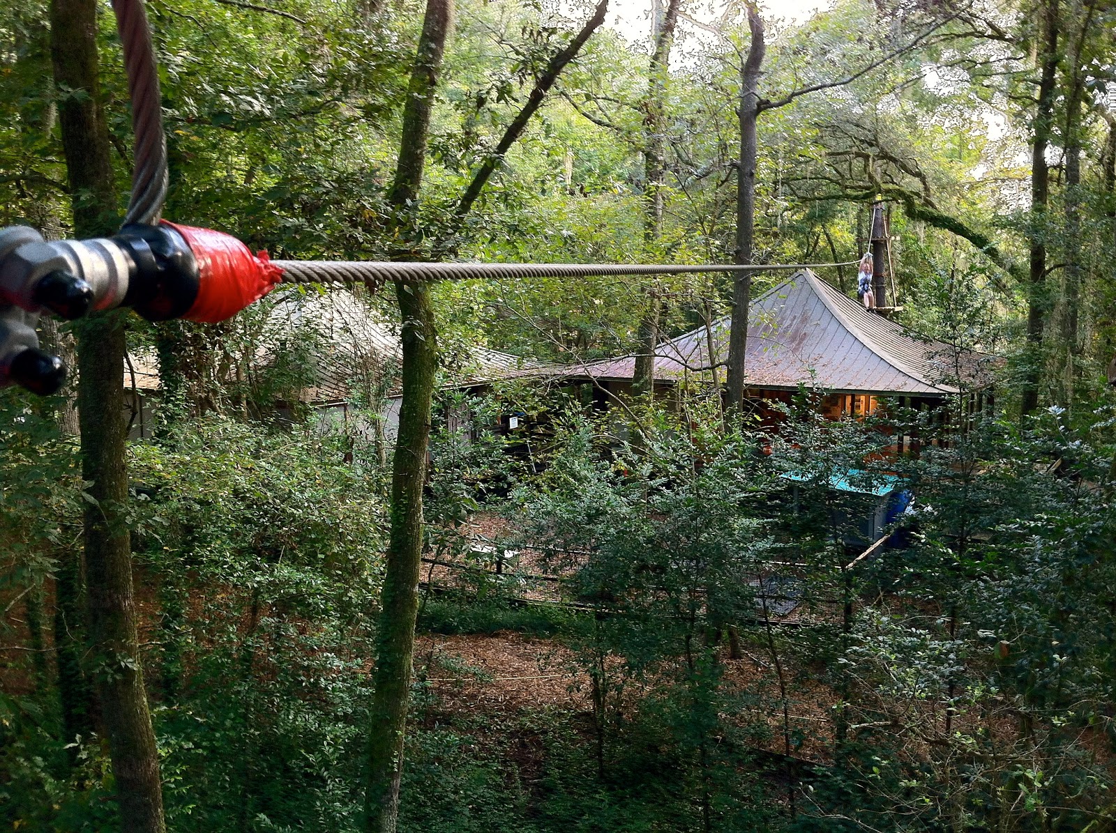 The TreetoTree Adventure at Tallahassee Museum The World of Deej
