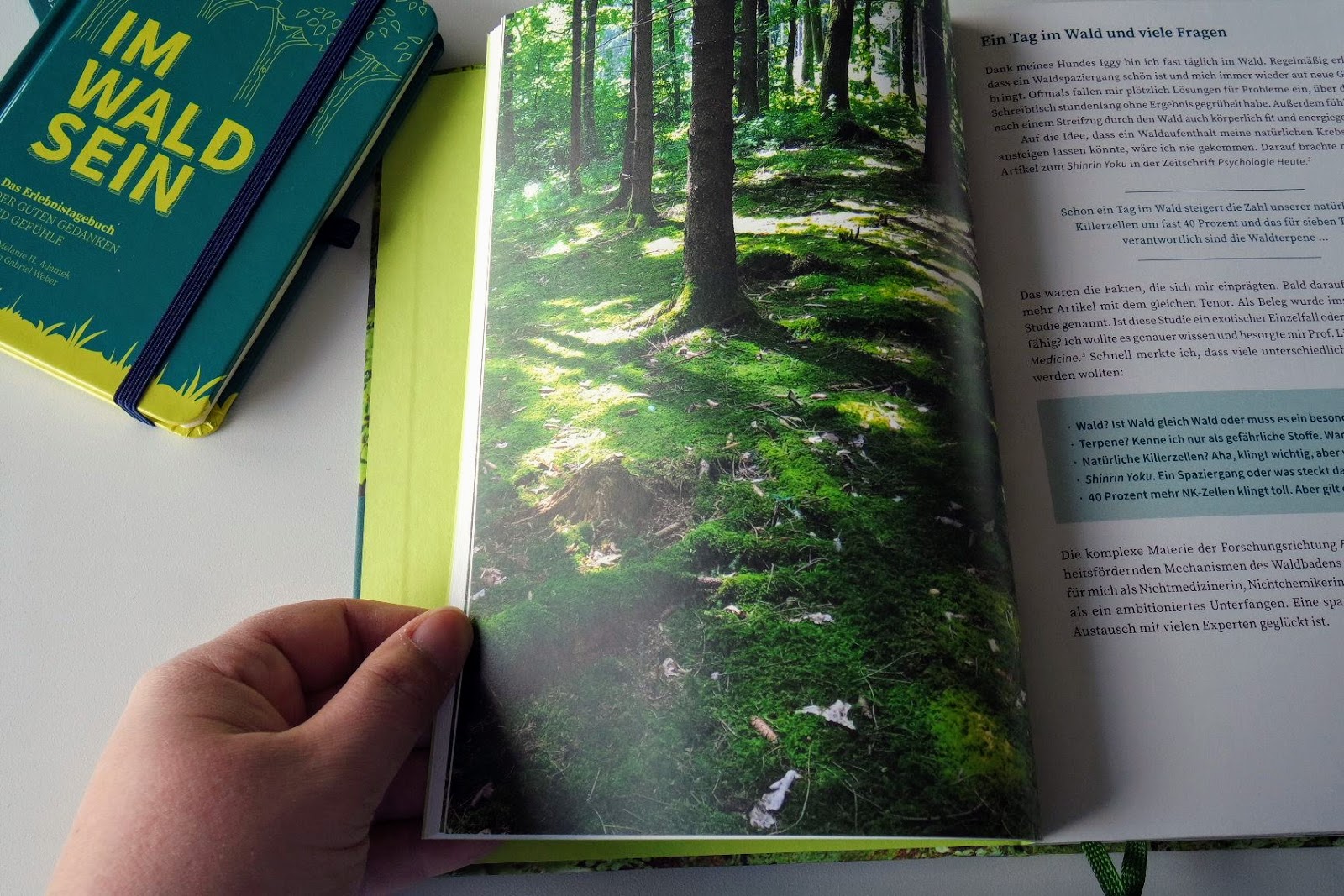 Personalisiertes Fotomemory Fur Kinder Zum Spielen Und Anschauen