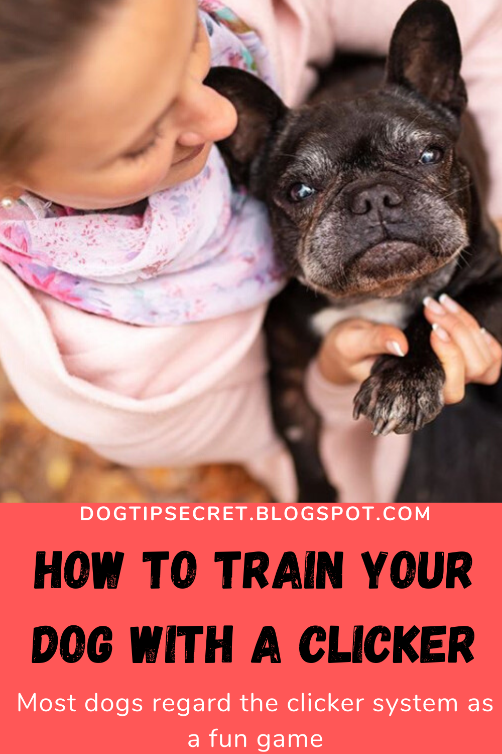 How to Train Your Dog With a Clicker Dog Tips Dog Tips Secret