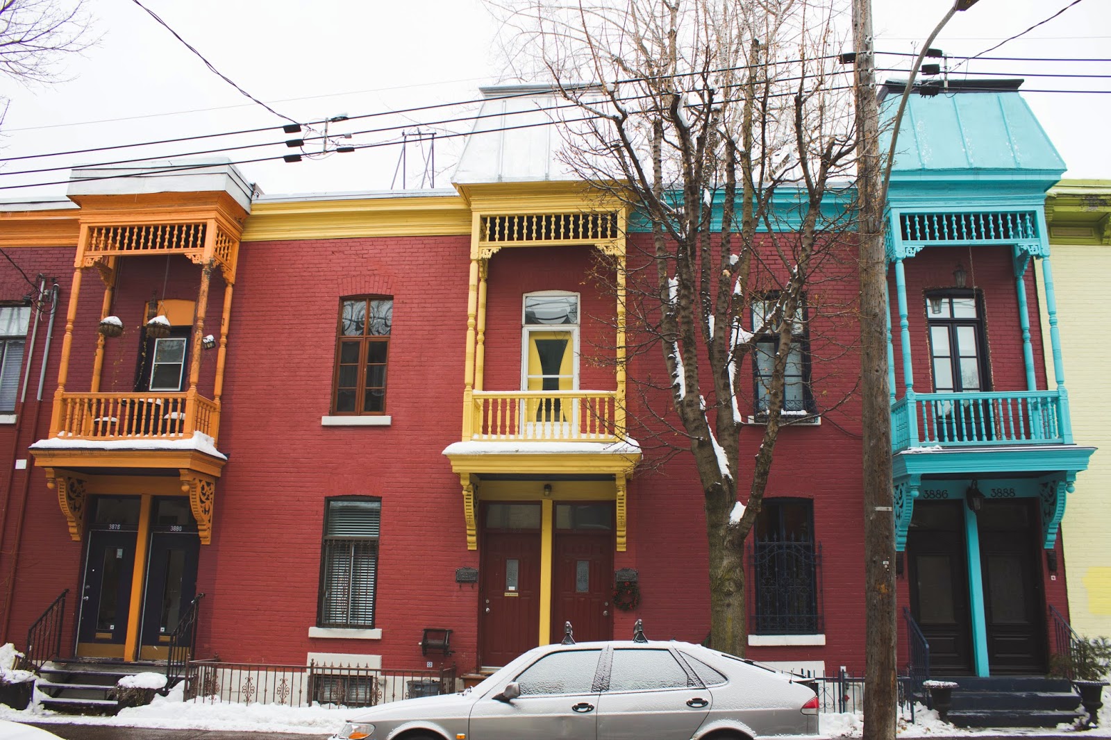 Sugar and Dinosaurs Montréal 3 Le plateau montroyal