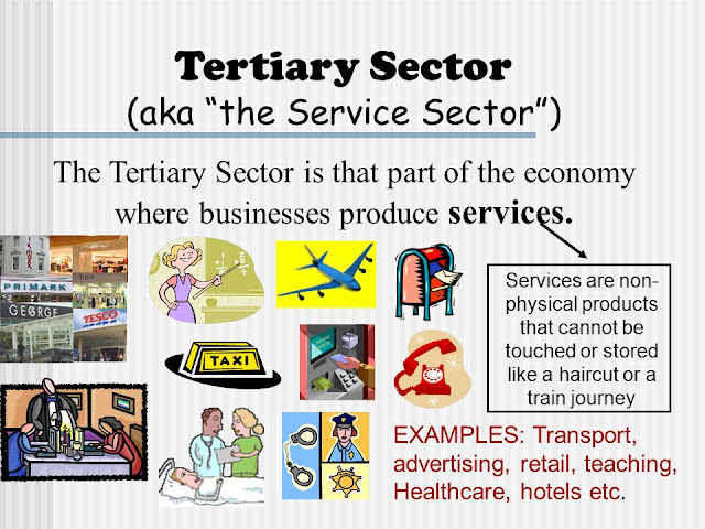 CX_S.St._2020: CX_2.3_Sectors of the Indian Economy