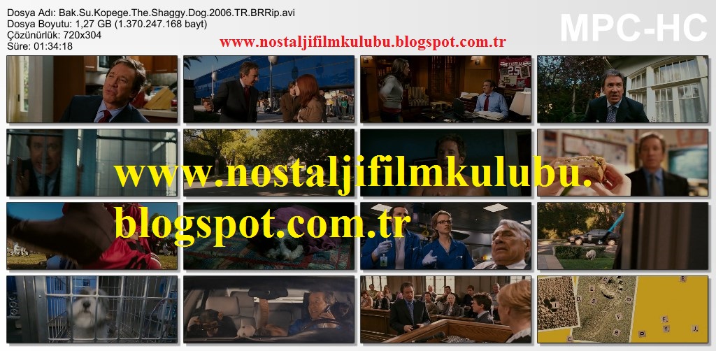 Filmler 1 Bak Şu Köpeğe The Shaggy Dog 2006 BRRip Türkçe Dublaj