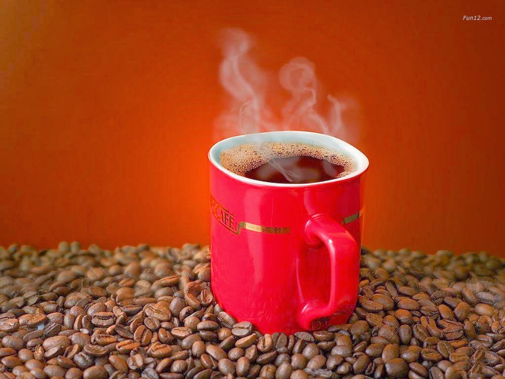 Good Morning HD Wallpaper 1080p Good Morning HD Wallpaper 1080p