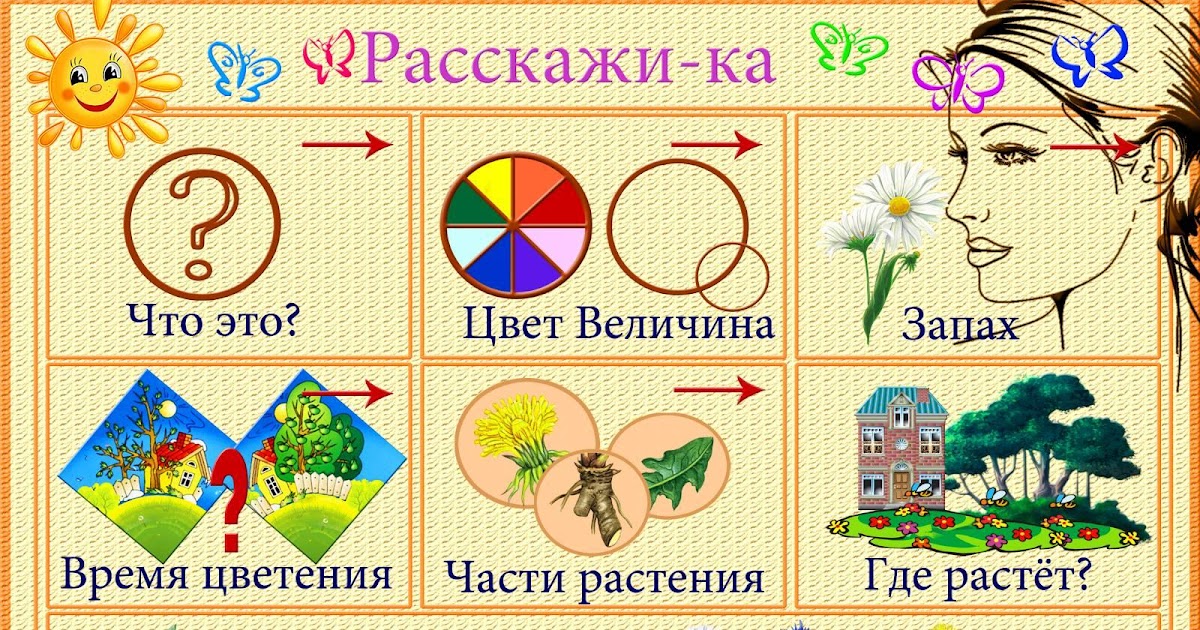 Развитие речи средняя группа растения. Схемы для составления рассказов. Составление описательного рассказа. Схема составления рассказа о цветах. Схемы описательных рассказов для дошкольников.