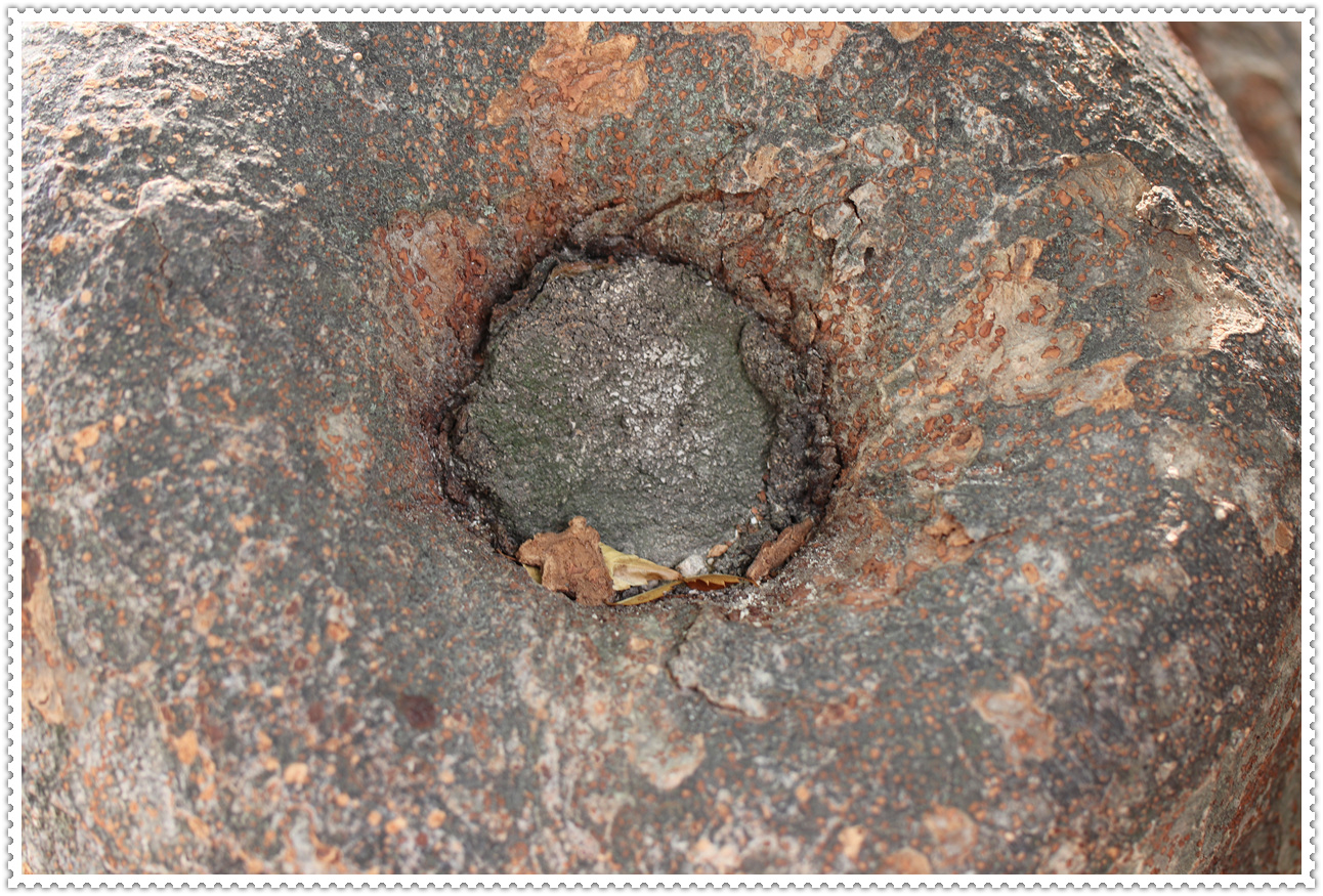 예산 덕숭산 수덕사