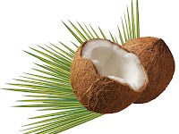 15 Manfaat Tanaman Kelapa, Nomer 10 Penting Kalian Ketahui