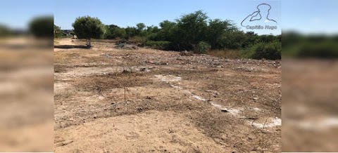 Denúncia de crime ambiental no Rio da Cruz em Patos-PB