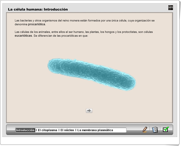 "La célula humana" (Presentación interactiva de Ciencias Naturales de Secundaria)