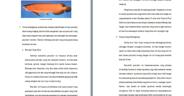 Contoh2BMakalah2BTentang2BBudidaya2BIkan2BArwana.png Contoh2BMakalah2BTentang2BBudidaya2BIkan2BArwana.png