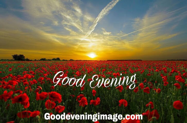 Good evening sms Good evening sms