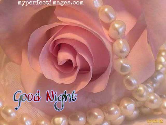 good night flower images  download hd