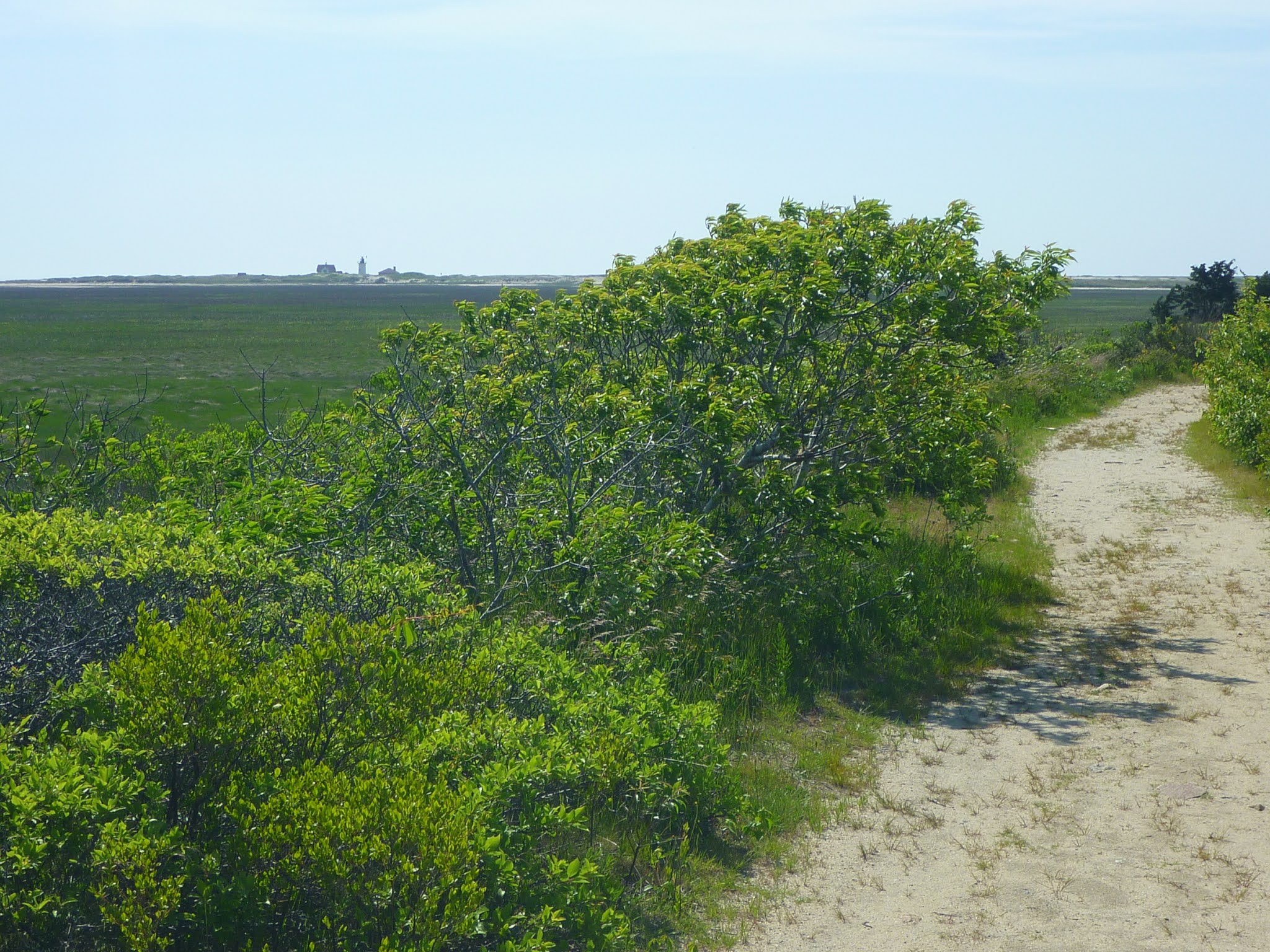 Trailing Ahead Explore the very tip of Cape Cod Hatches Harbor Trail