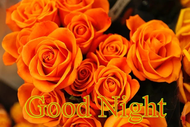 Good Night HD Image Collection Good Night HD Image Collection