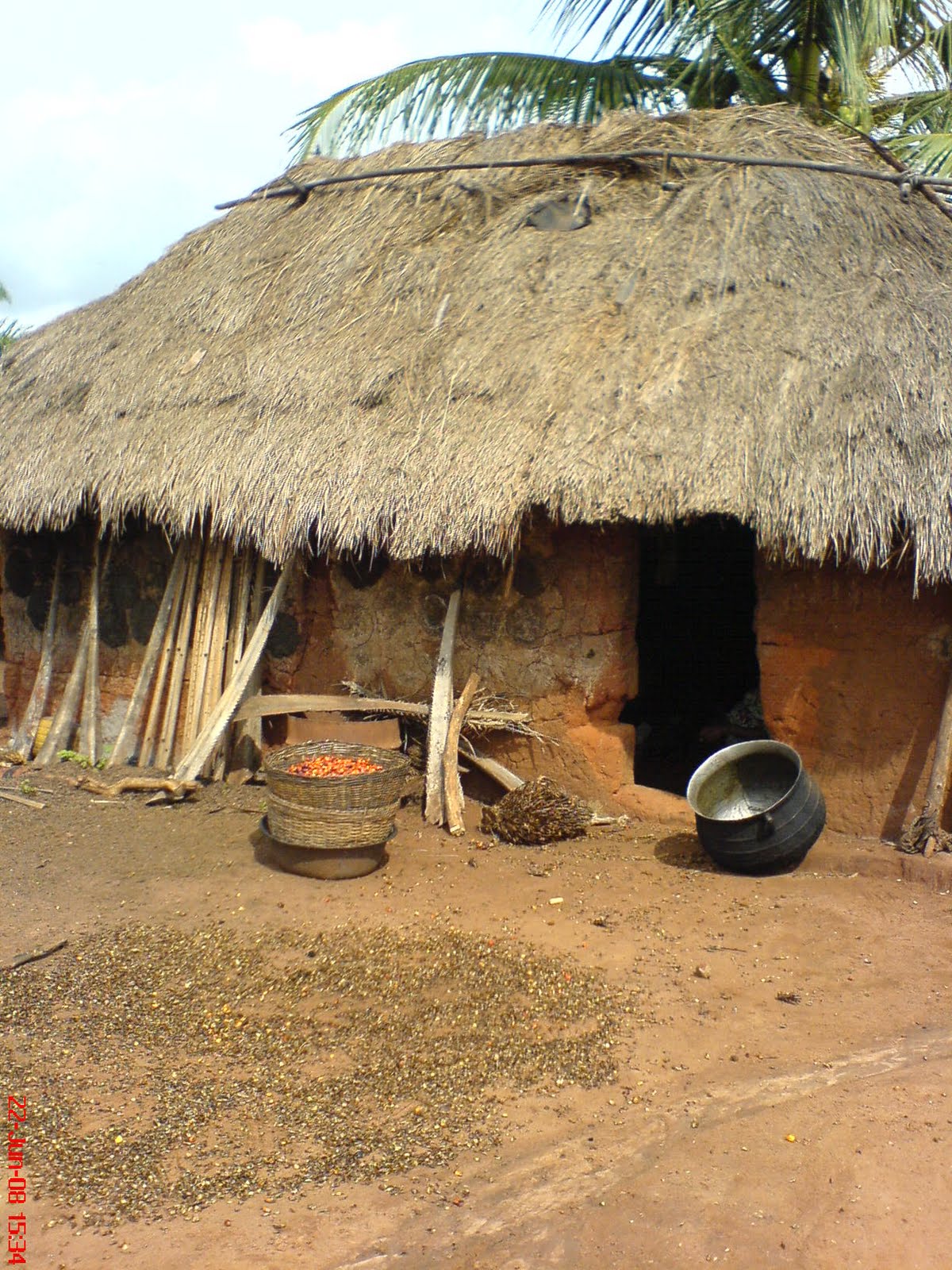 Ferdjinsights I want to alleviate suffering, hunger