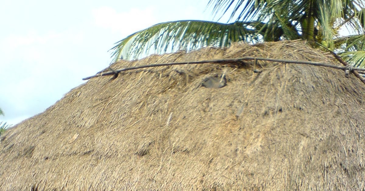 Ferdjinsights I want to alleviate suffering, hunger