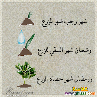 %25D8%25B5%25D9%2588%25D8%25B1%2B%25D9%2585%25D9%2586%25D8%25AA%25D8%25AF%25D9%258A%25D8%25BA%25D9%2584%25D8%25A7%25D8%25B3%25D9%2587%2B%25283%2529