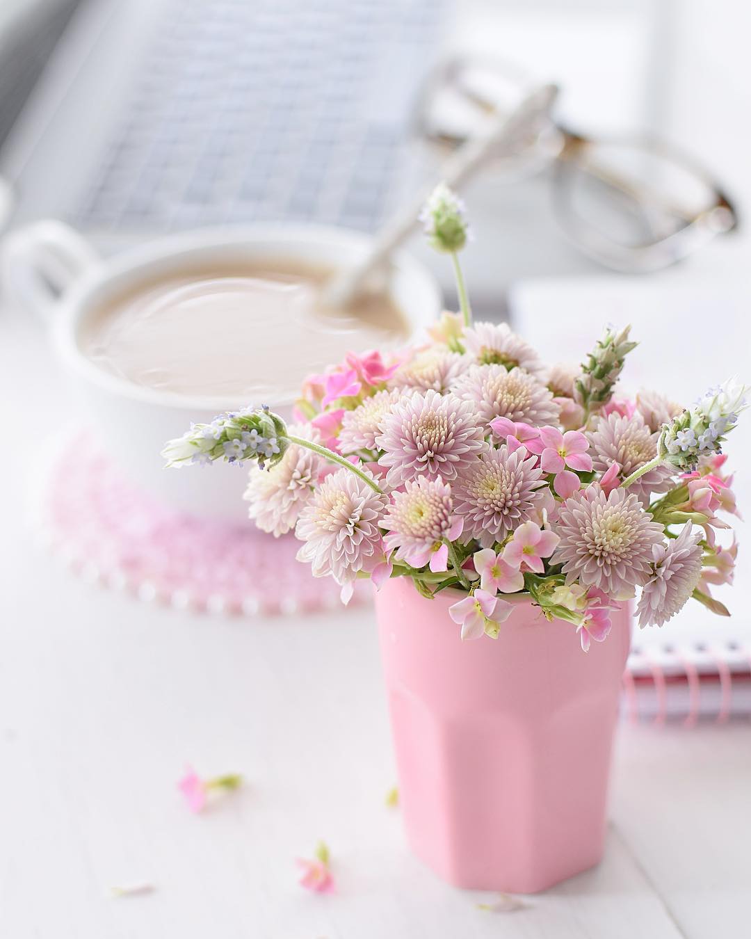 Блог Колибри: Pink morning