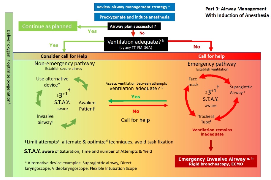 Difficult Airway Decision Pathways - Anesthesiology and Intensive Care