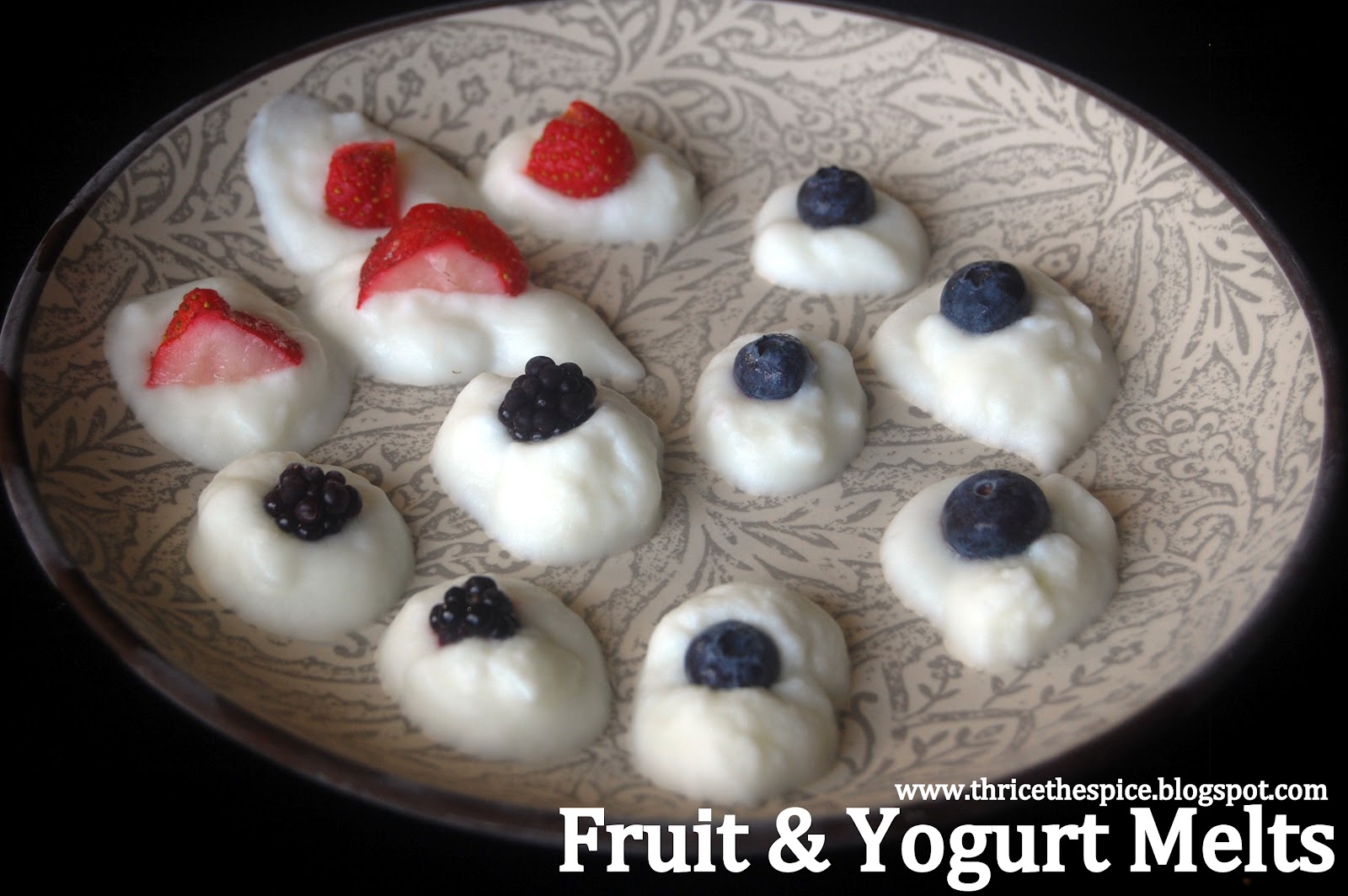 ThriceTheSpice Fruit & Yogurt Melts