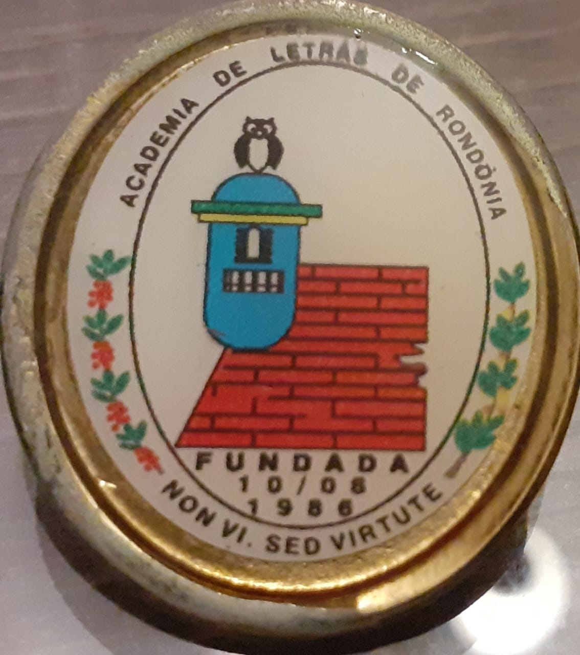 Medalha da Academia de Letras de Rondônia