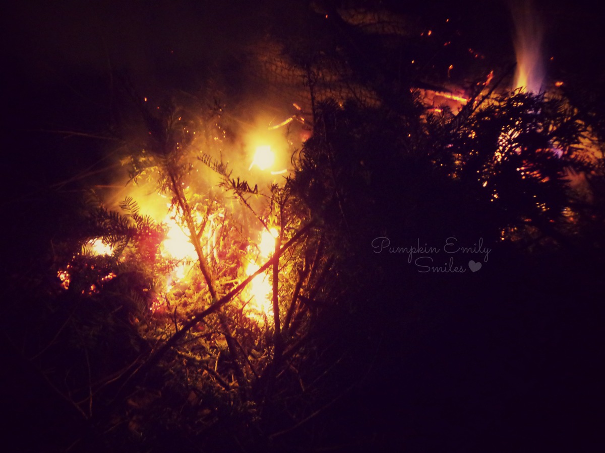 A pretty fire