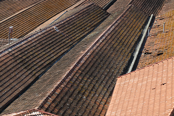 Distinctive rooftops of the building