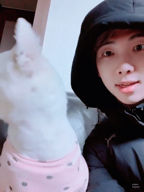 %25EB%259E%25A9%25EB%25AA%25AC%25EC%259D