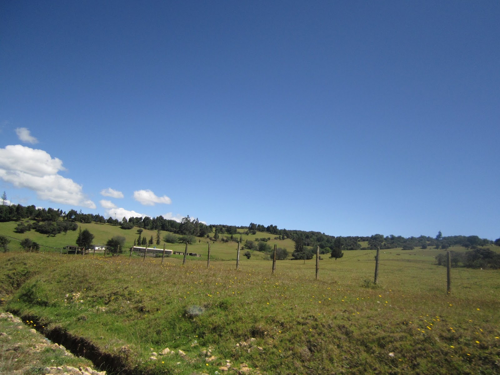 Santa Rosalía Vichada