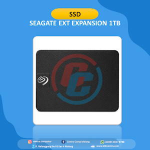 SSD SEAGATE EXT EXPANSION 1TB
