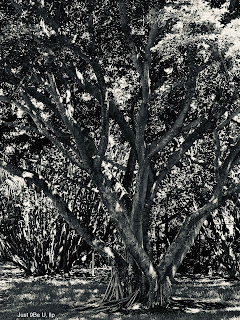 Tension…  Free