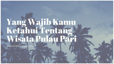 paket wisata pulau pari 2019 pulau pari tour and travel harga paket pulau pari 2019 paket wisata pulau pari dari bandung paket wisata pulau pari untuk 2 orang paket pulau pari 2018 paket pulau pari 1 hari pulau pari backpacker