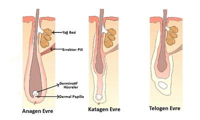 sac cikarma psd logo sac photoshop
